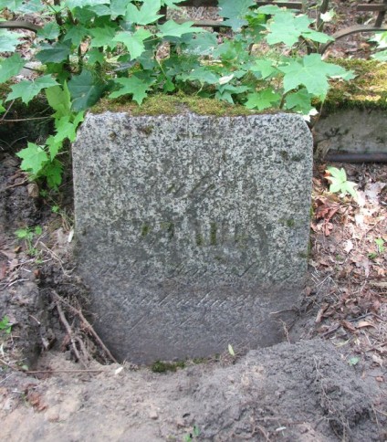 Nagrobek Julii Sztaden, cmentarz na Rossie w Wilnie, stan na 2013 r.