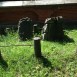 Fotografia przedstawiająca Nagrobek Wandy Pieńkowskiej