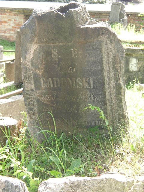 Nagrobek Aleksandra Gadomskiego, cmentarz na Rossie w Wilnie, stan przed 2013
