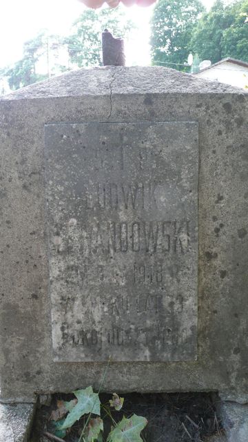 Tombstone of Ludwik Lewandowski, fragment with inscription, Ross Cemetery in Vilnius, state before 2013