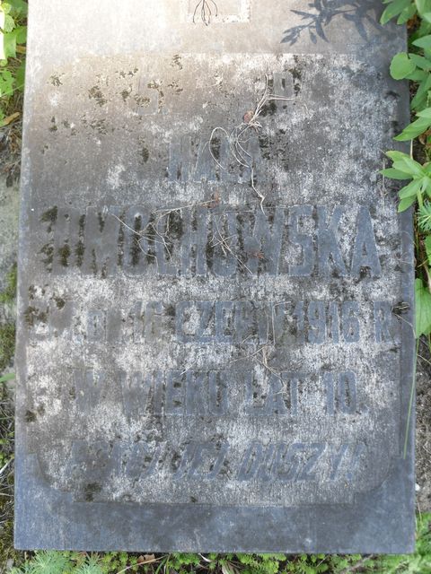 Tombstone of Halina Dmochowska, fragment with inscription, Ross cemetery in Vilnius, state before 2013