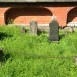 Fotografia przedstawiająca Tombstone of Kazimira and Jozef Koszko