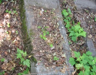 Nagrobek Józefa Sożyckiego, cmentarz na Rossie w Wilnie, stan na 2013 r.