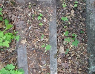 Nagrobek Teofilii Sorzyckiej, cmentarz na Rossie w Wilnie, stan na 2013 r.