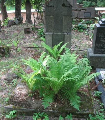 Nagrobek Jana Jasiuna i jego wnuka Jana, cmentarz na Rossie w Wilnie, stan na 2013 r.