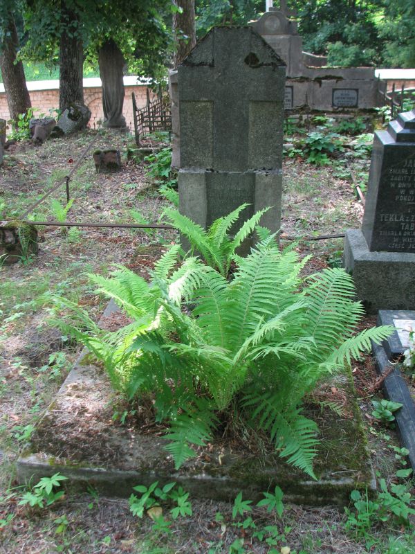 Nagrobek Jana Jasiuna i jego wnuka Jana, cmentarz na Rossie w Wilnie, stan na 2013 r.