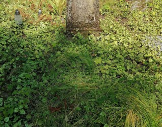 Nagrobek Heleny Lancuckiej