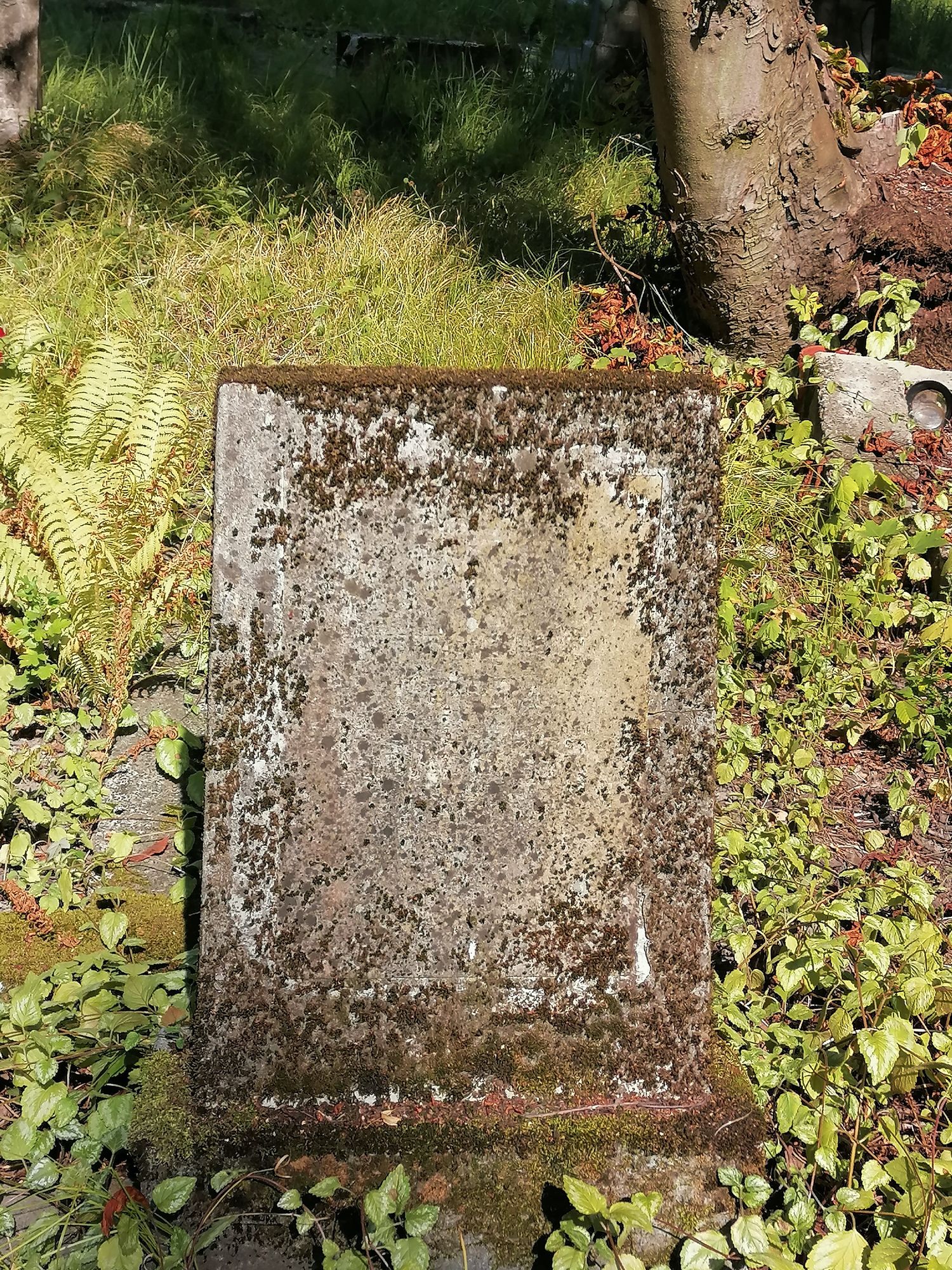 Tombstone of Helena Lancucka