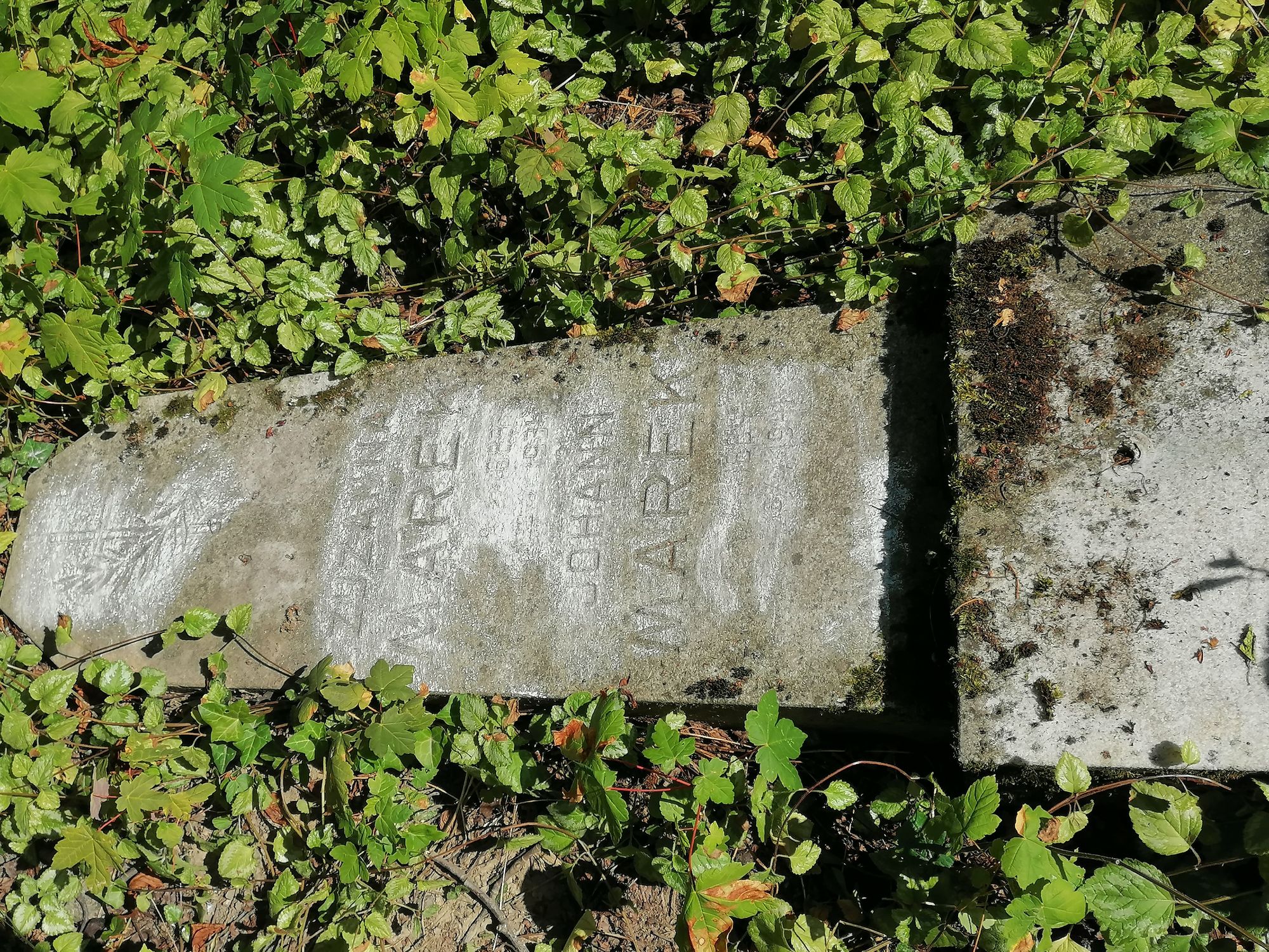 Tombstone of the Marek family