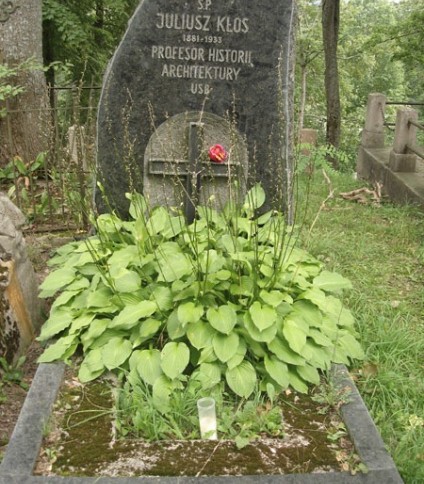 Nagrobek Juliusza Kłosa, cmentarz Na Rossie w Wilnie, stan z 2013