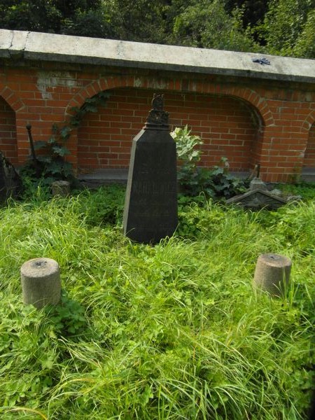 Tombstone of Zofia Narkiewicz, Ross cemetery, state of 2013
