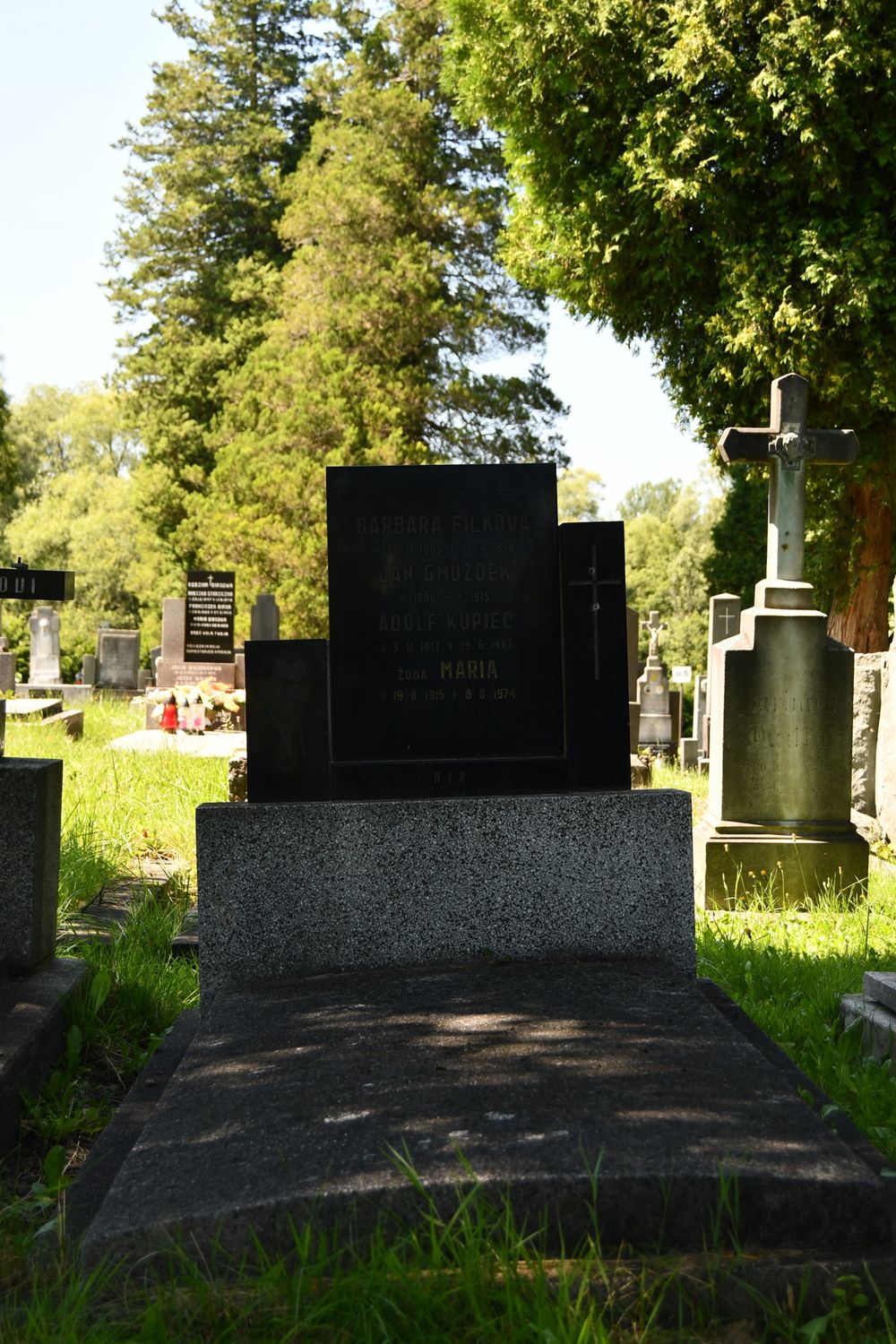 Photo montrant Tombstone of the Filkova, Gmuzdek and Kupiec families