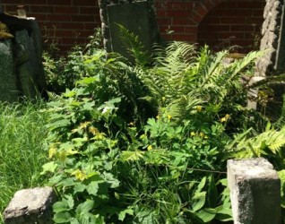 Nagrobek Stefanii i Zofii Kasprow, cmentarz na Rossie, stan z 2013 roku