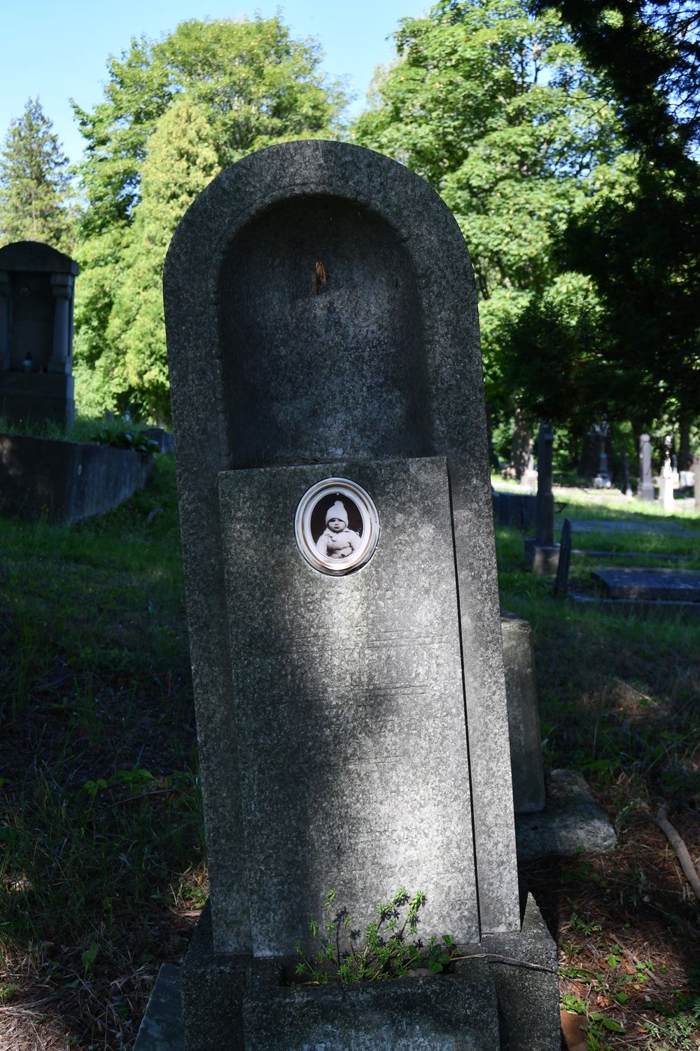 Fotografia przedstawiająca Tombstone of Henryka Varinitsa