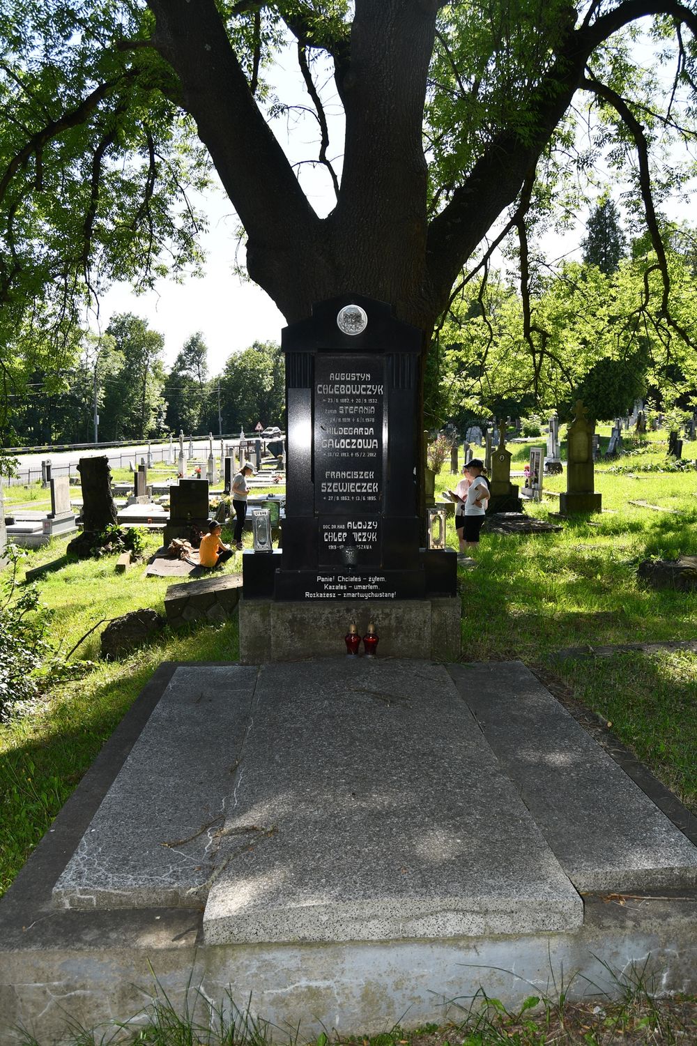 Fotografia przedstawiająca Tombstone of the Chlebowczyk family, Hildegarda Galoczová and Franciszek Szewieczek