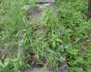 Nagrobek Władysława Zoanowicza i Michała Niemiro z cmentarza na Rossie w Wilnie, stan z 2013 r.