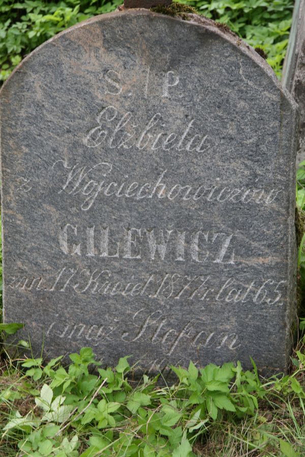Fragment nagrobka Elżbiety i Stefan Gilewicz z cmentarza na Rossie w Wilnie, stan z 2013 r.
