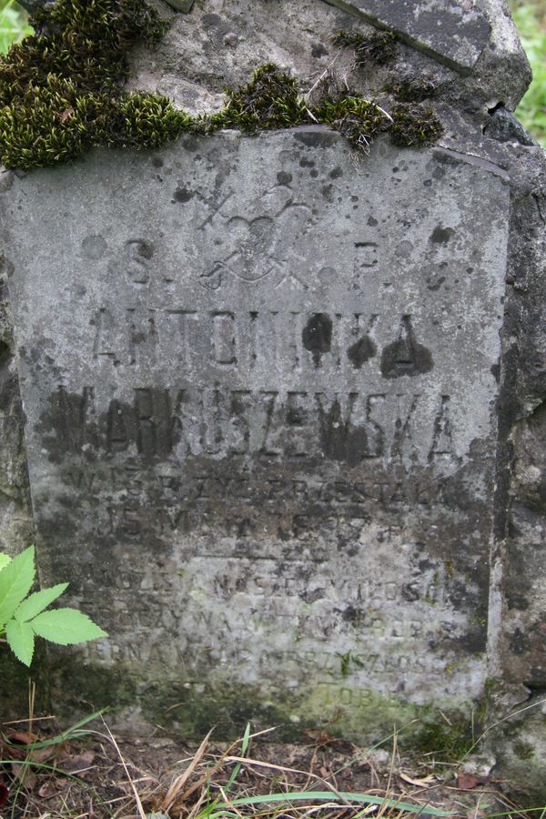 Fragment of the tombstone of Antonina Markuszewska from the Ross Cemetery in Vilnius, as of 2013.