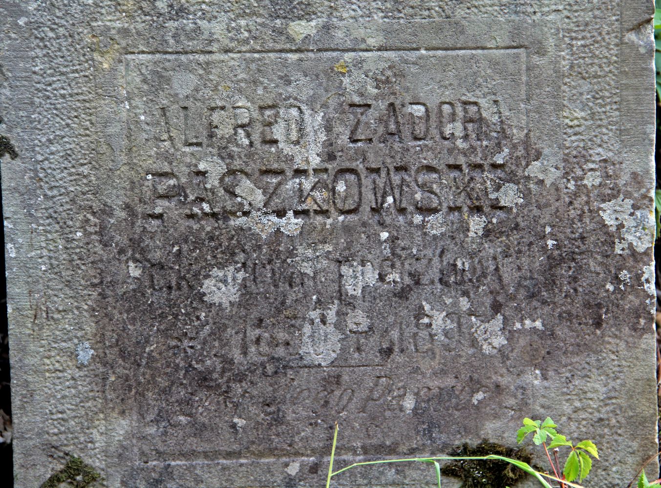 Fragment nagrobka Alfreda i Ignacego Paszkowskich, cmentarz w Tarnowie, stan z 2016
