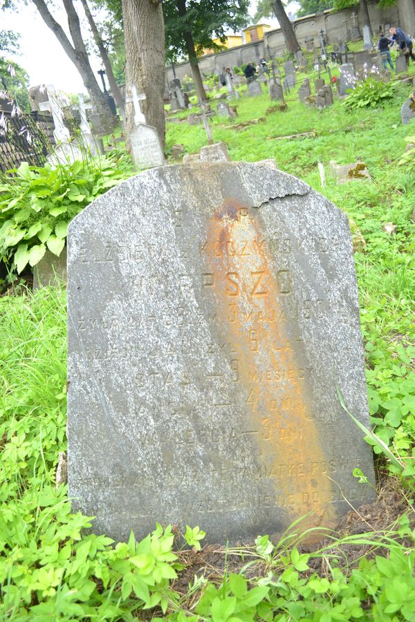 Tombstone of Anca, Elisabeth, Jaś, Stasia, Valery Wirpsza, Rossa cemetery in Vilnius, as of 2013