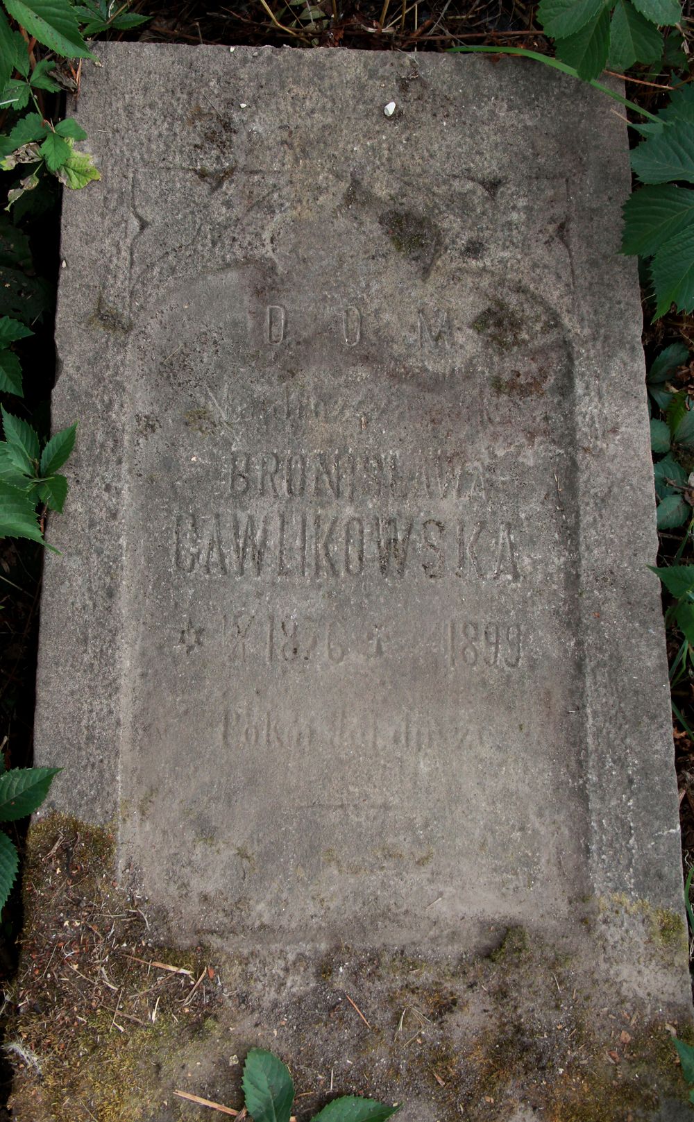 Nagrobek Bronisławy Gawlikowskiej, cmentarz w Tarnopolu, stan z 2016