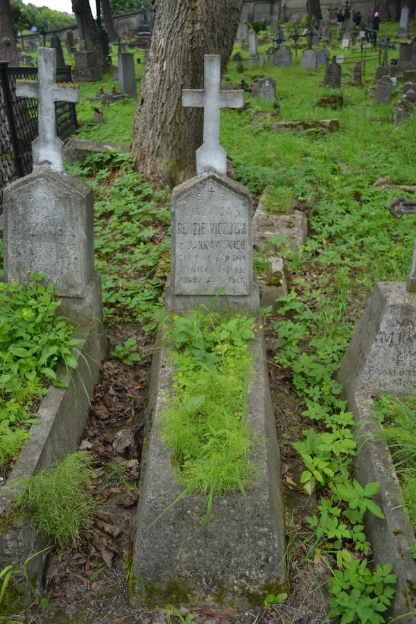 Nagrobek Jadwigi Radziewiczowej, cmentarz na Rossie w Wilnie, stan z 2013