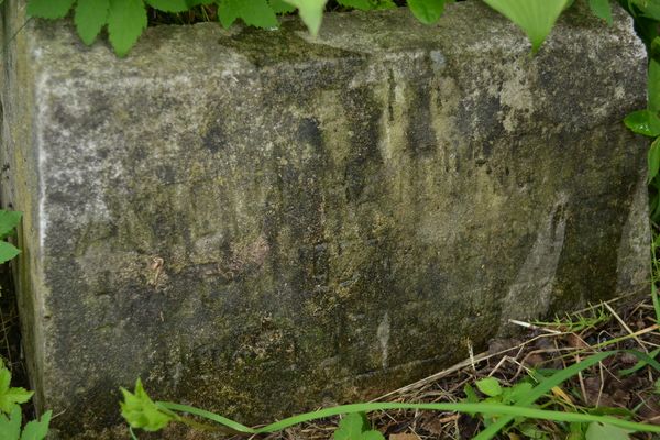 Inskrypcja na nagrobku Antoniego Hajdukiewicza, cmentarz na Rossie w Wilnie, stan z 2013