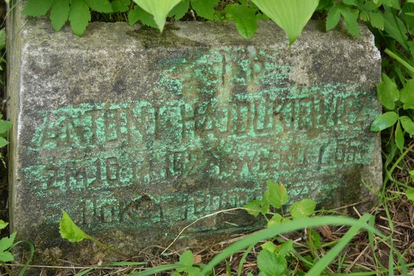 Inscription on the gravestone of Antoni Hajdukiewicz, Ross Cemetery in Vilnius, as of 2013