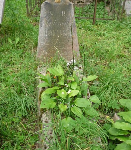 Nagrobek Antoniny Rokickiej, cmentarz Na Rossie w Wilnie, stan z 2013