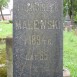 Fotografia przedstawiająca Tombstone of Benedykt Kozakiewicz, Franciszek and Józefa Malewski