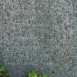 Альтернативний текст фотографії