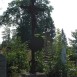 Альтернативний текст фотографії
