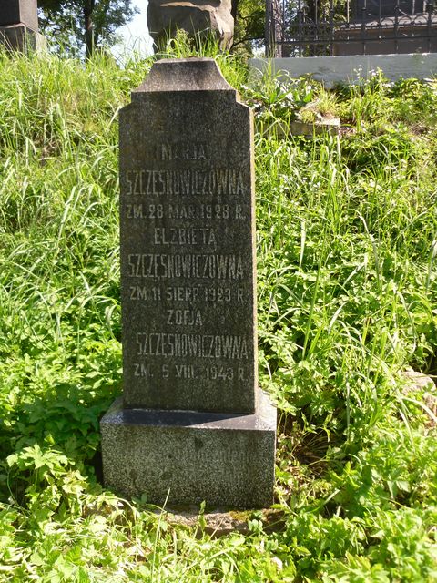 Tombstone of Elisabeth, Maria and Sophia Szczęsnowicz, Rossa cemetery in Vilnius, state before 2013