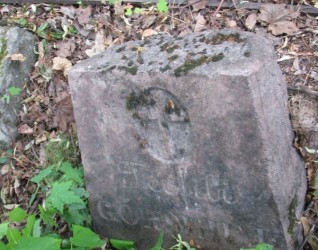 Nagrobek Teofili Górskiej, cmentarz na Rossie w Wilnie, stan na 2013 r.