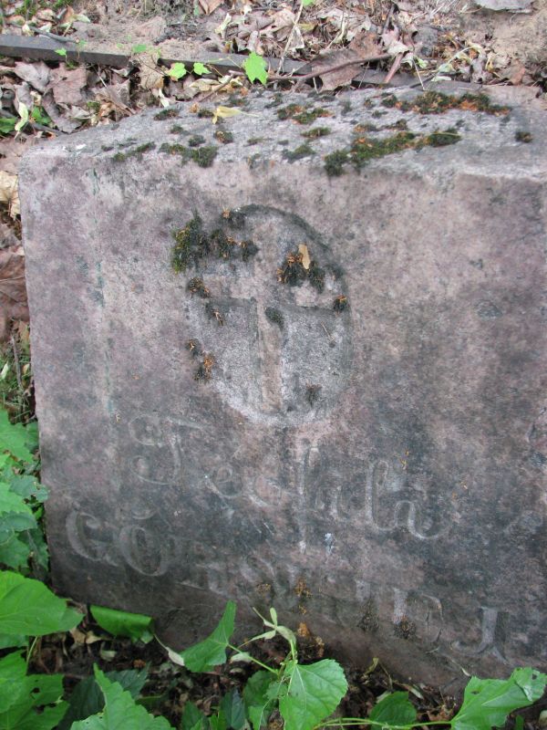 Tombstone of Teofila Gorska, Ross cemetery in Vilnius, as of 2013.
