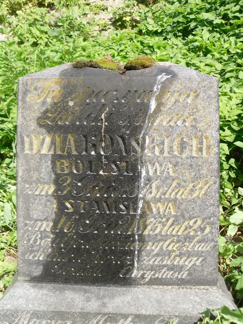 Nagrobek Bolesława i Stanisława Dziakońskiego, cmentarz na Rossie w Wilnie, stan przed 2013