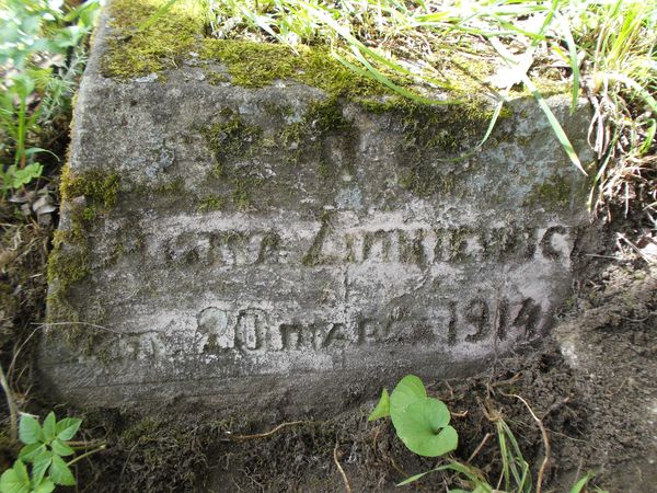 Fragment nagrobka Anny Zinkiewicz z cmentarza na Rossie w Wilnie, stan z 2012 r.