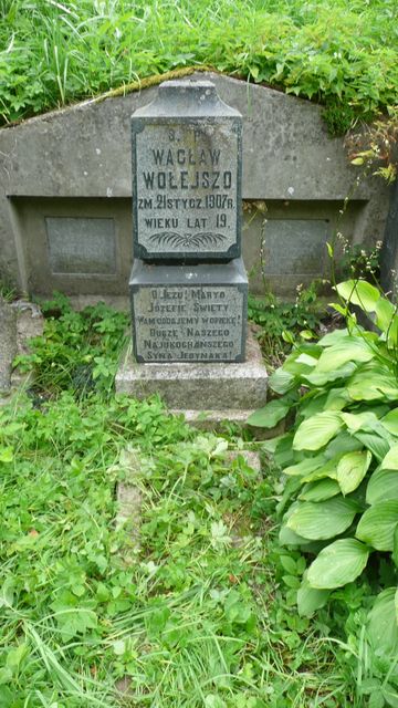 Tombstone of Waclaw Volejszo, Ross cemetery in Vilnius, state before 2013