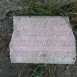 Photo showing Tombstone N.N.