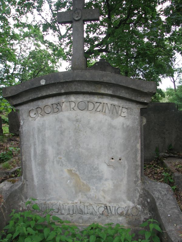 Grobowiec Skobeików i Jasieniowiczów, cmentarz na Rossie w Wilnie, stan na 2013 r.
