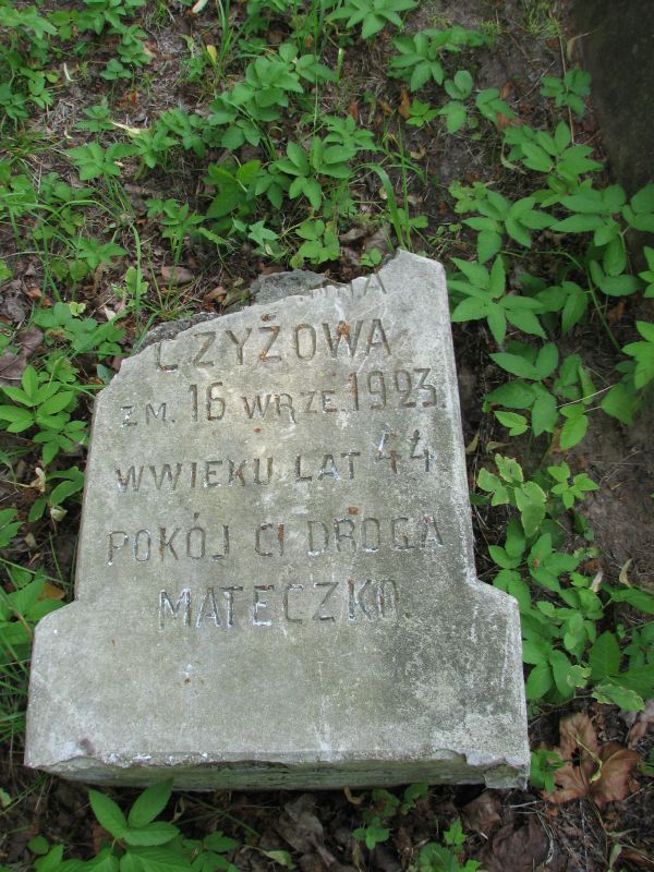 Nagrobek N.N Czyż, cmentarz na Rossie w Wilnie, stan na 2013 r.