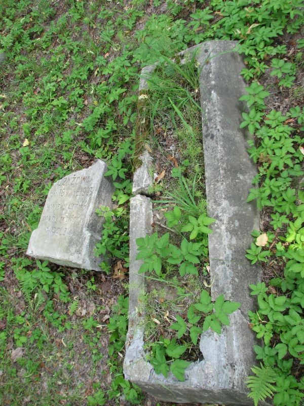 Nagrobek N.N Czyż, cmentarz na Rossie w Wilnie, stan na 2013 r.
