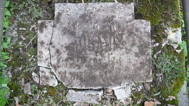 Fragment of Antoni Pisani's tombstone from the Ross Cemetery in Vilnius, as of 2013.