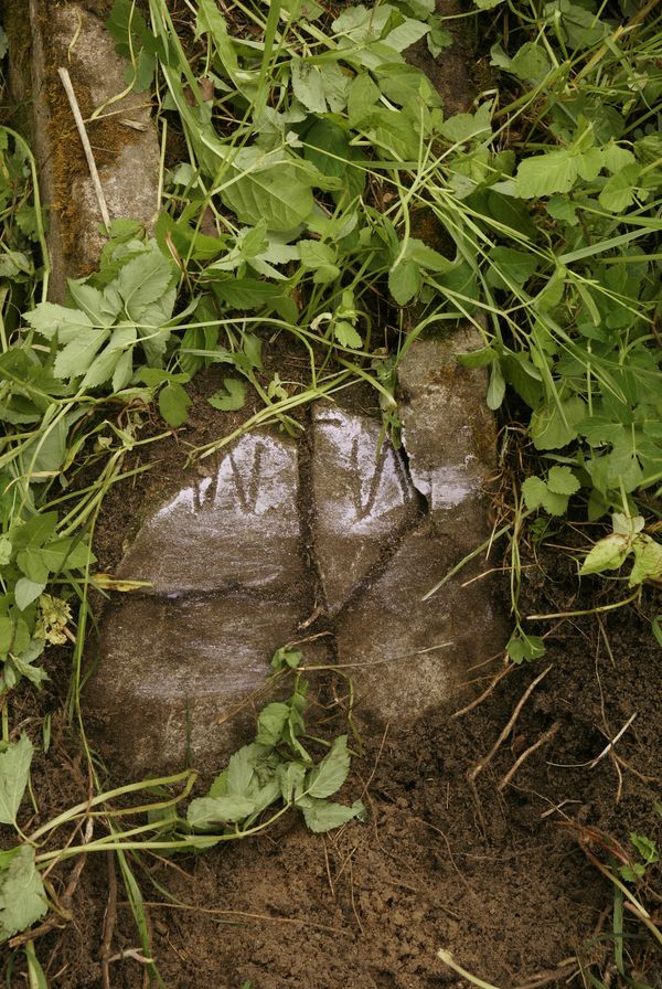 Tombstone of N. N., Rossa cemetery in Vilnius, as of 2013
