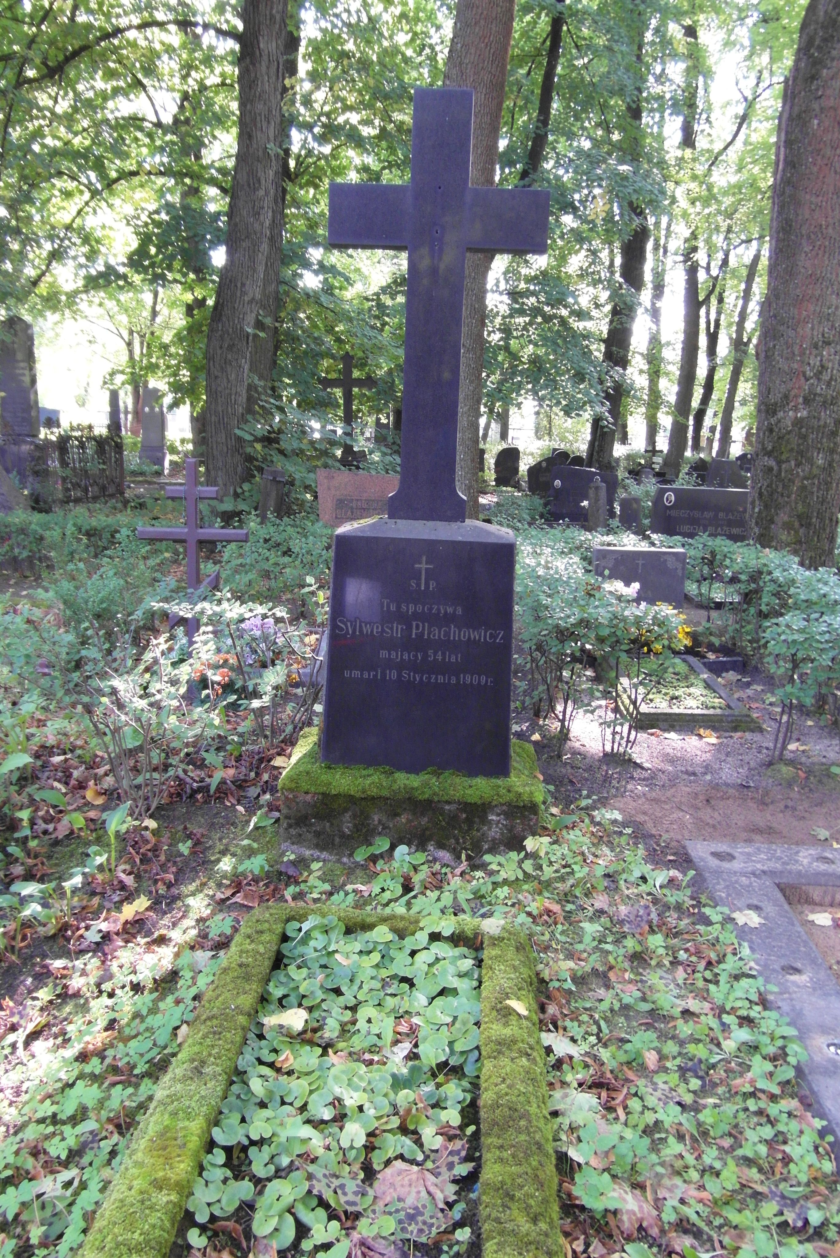 Nagrobek Sylwestra Plachowicza, cmentarz św. Michała w Rydze, stan z 2021 r.