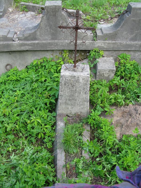 Nagrobek rodziny Kulinowskich, cmentarz Na Rossie w Wilnie, stan z 2013 roku