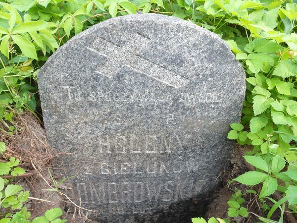 Nagrobek Heleny Dombrowskiej, cmentarz Na Rossie w Wilnie, stan z 2013 roku