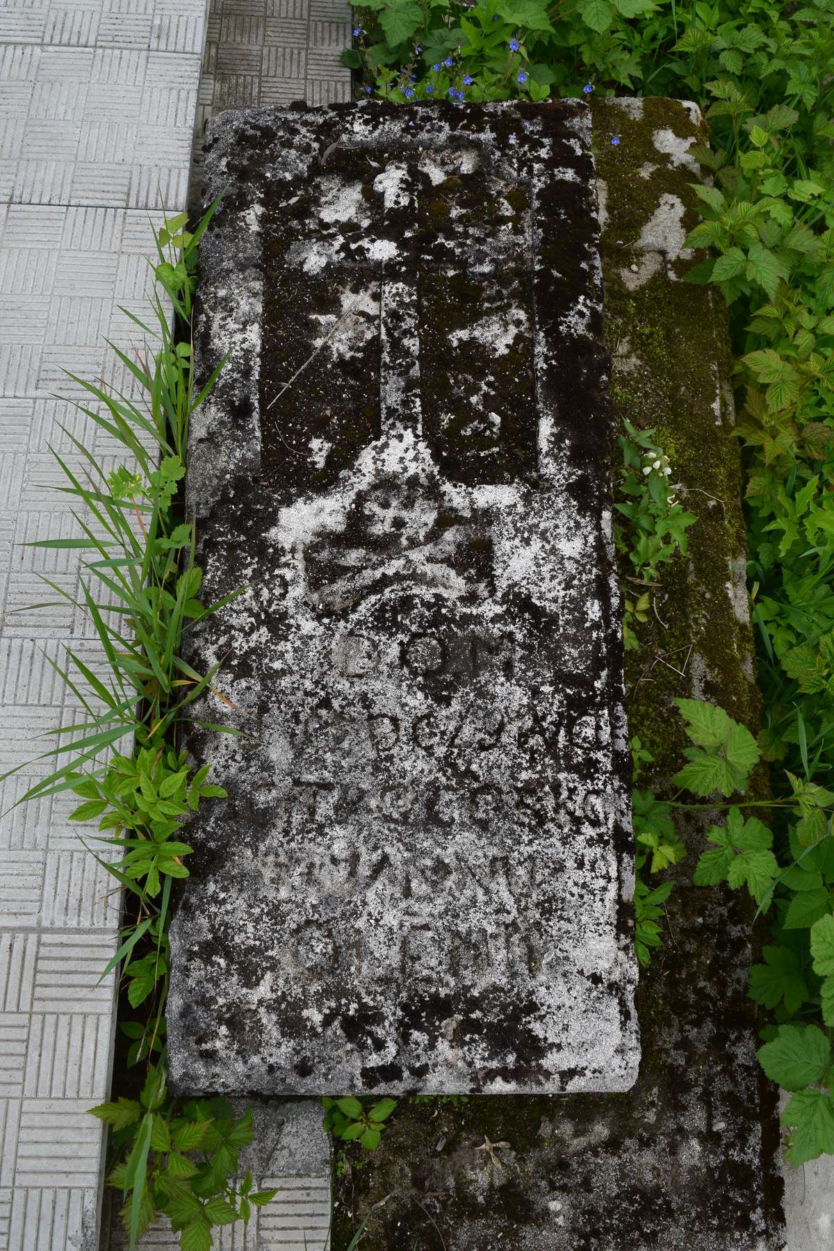 Nagrobek Janiny i Piotra Oleników, cmentarz w Tarnopolu, stan z 2016 roku