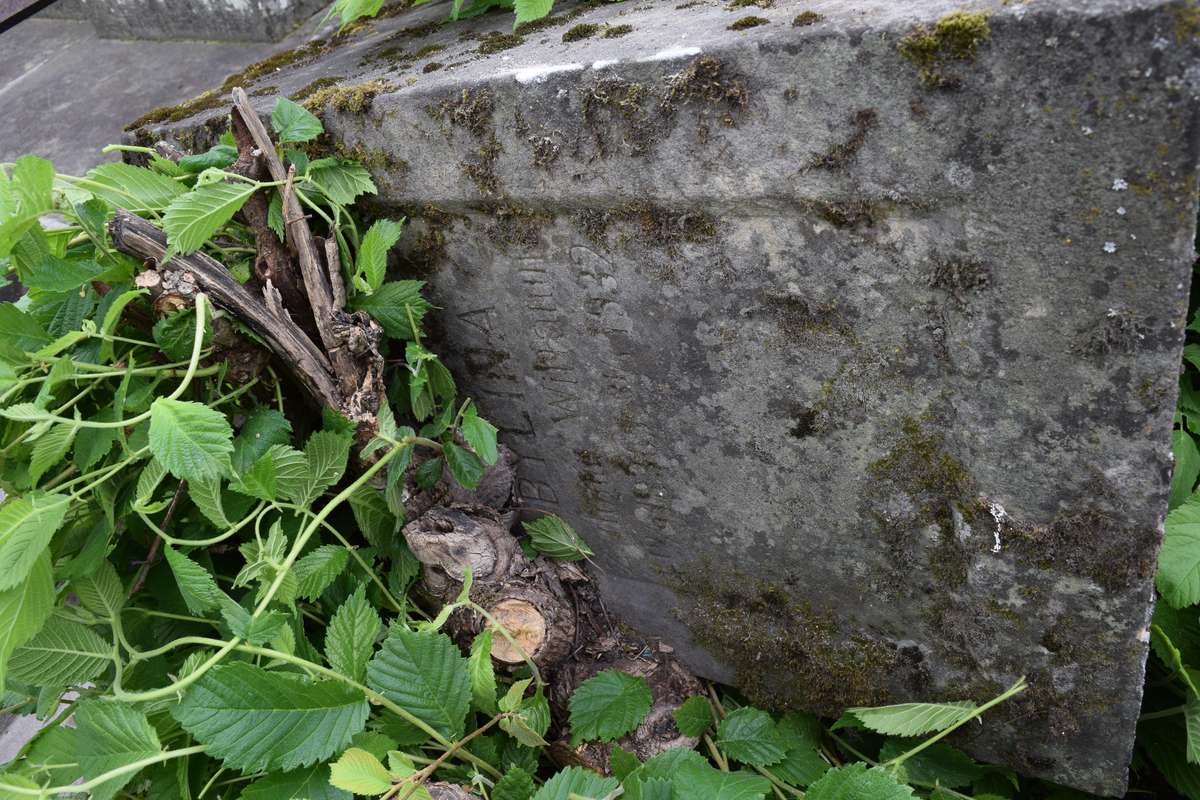 Fragment nagrobka Karoliny Byliny, cmentarz w Tarnopolu, stan z 2016 roku