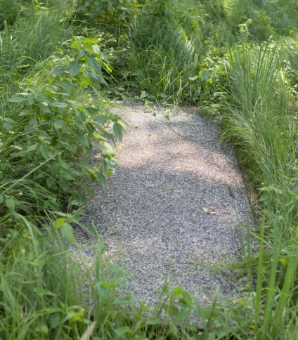 Prostokątny, zaokrąglony nagrobek otoczony zarośniętą trawą i roślinami. Brak tablicy inskrypcyjnej.